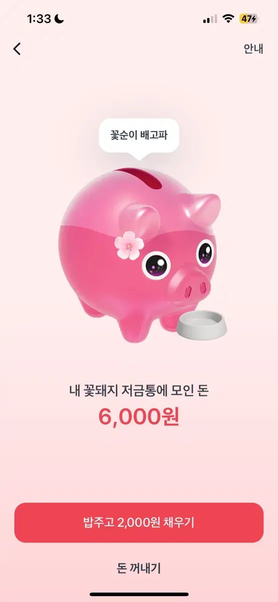 토스 꽃돼지